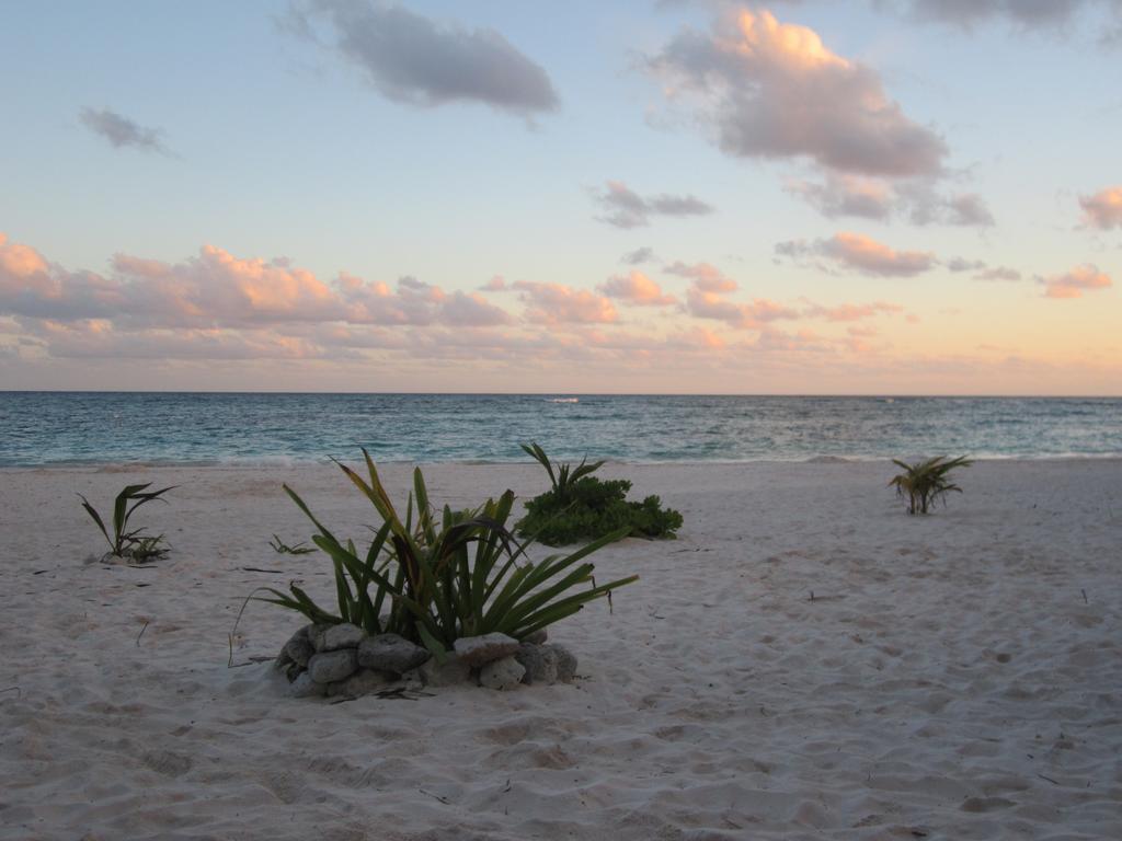 Appart Depa Center Otel Playa del Carmen Oda fotoğraf
